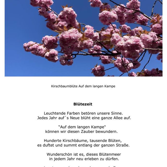 2023 Frühling, ritzau